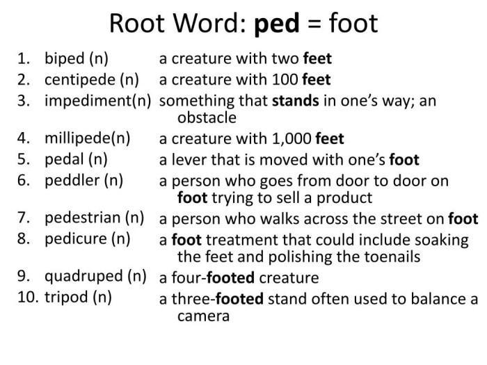 Words with root word ped