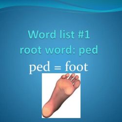 Words with root word ped