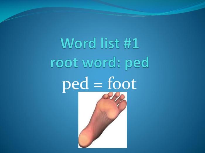 Words with root word ped