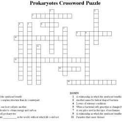 The cell crossword puzzle answer key