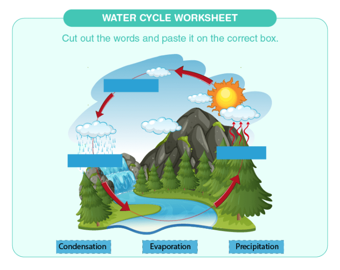 Labeling the water cycle worksheet answers