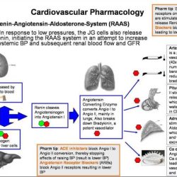 Relias pharmacology a answers 2022