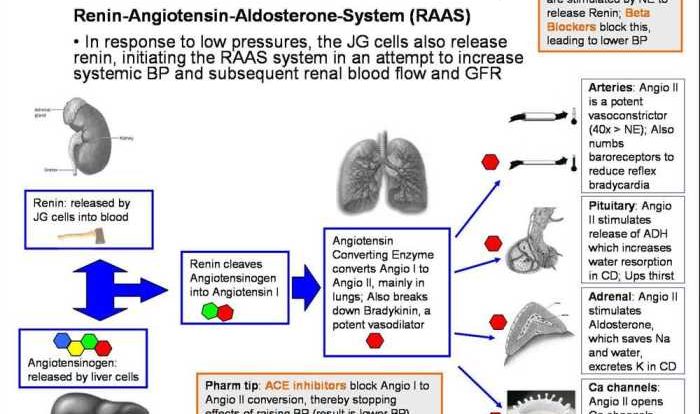 Relias pharmacology a answers 2022