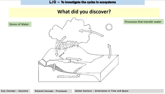 Labeling the water cycle worksheet answers