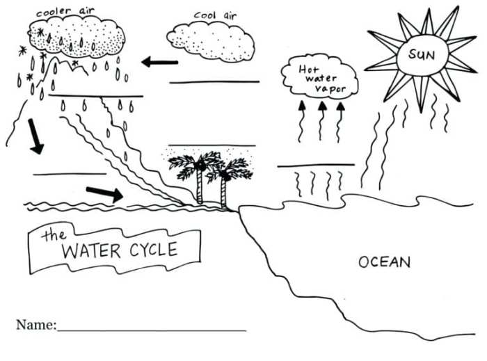 Labeling the water cycle worksheet answers