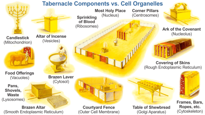 Ark of the covenant diagram