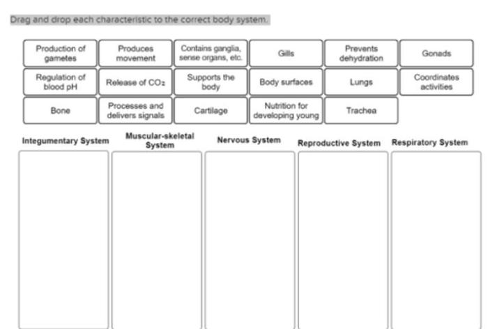 Drag and drop each characteristic to the correct body system.