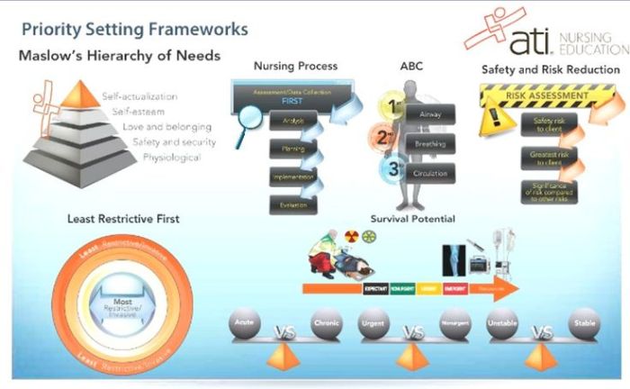 Ati nurse logic 2.0 priority setting frameworks