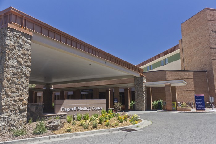 Flagstaff medical center emergency department