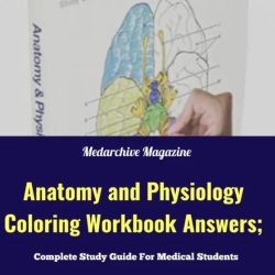 Anatomy & physiology coloring workbook answer key