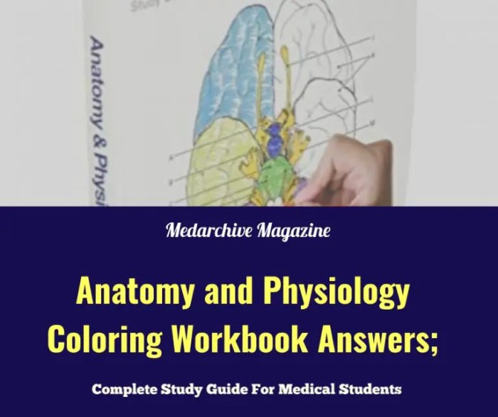 Anatomy & physiology coloring workbook answer key